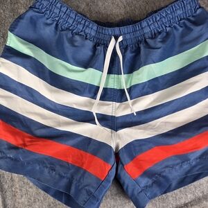 Chubbies Me Likey The Stripey Classic Swim Trunks Men's Large